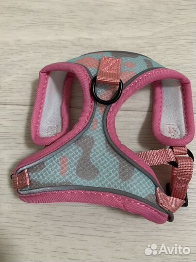 Одежда для маленьких собак