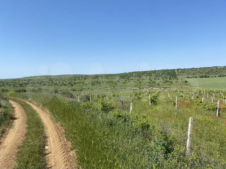 Участок 4,48 га (СНТ, ДНП)