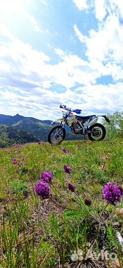 Avantis fx 250 LUX c птс