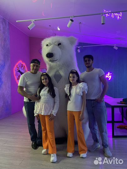 Белый Мишка Поздравление / Мишка на праздник