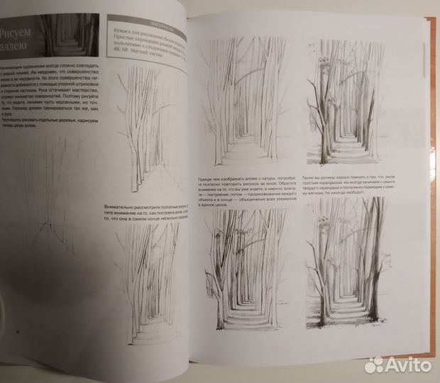 Книга. Простые уроки рисования для начинающих