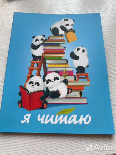 Канцелярия: тетради, дневник чтения, палочки