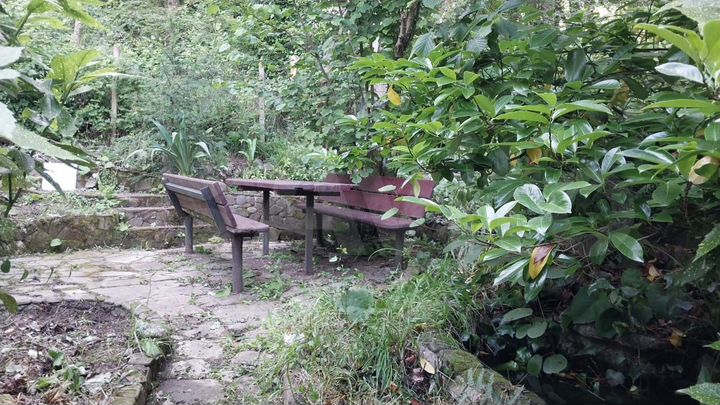 Дом 180 м² на участке 22 сот.