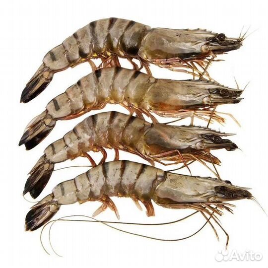 Креветки тигровые 1кг Бангладеш