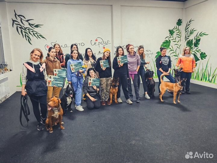 Кинолог. Химки-Москва