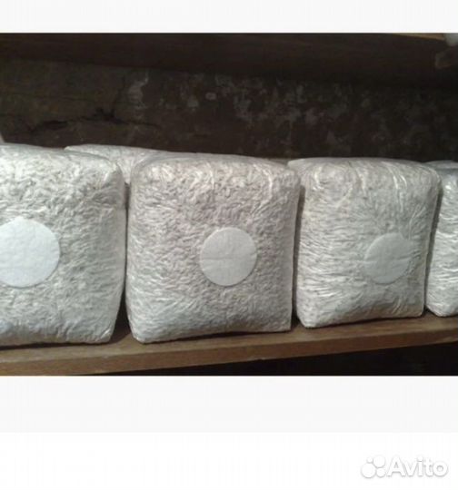 Набор для выращивания вешенки