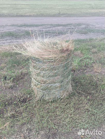 Продам сено в рулонах