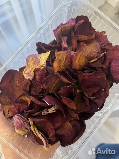 Лепестки роз