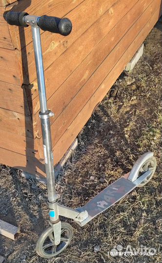 Самокат Shark