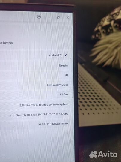 Asus ux425e