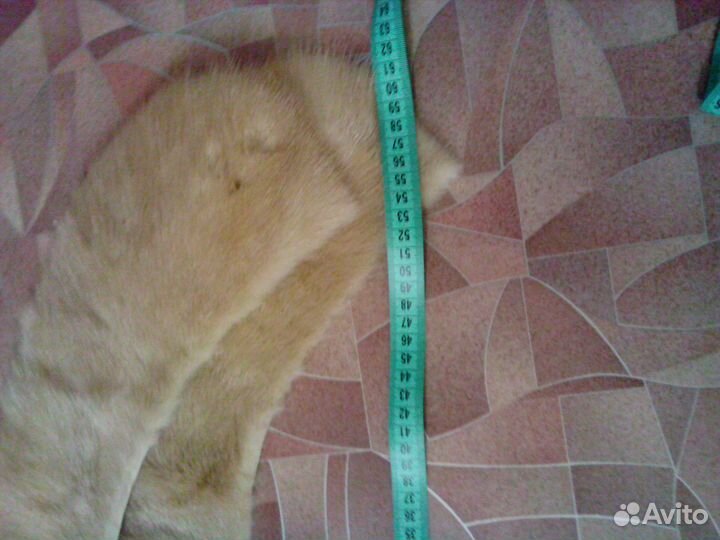 Шкурки(две)