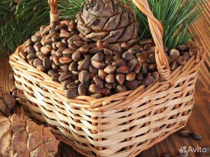 Кедровый орех