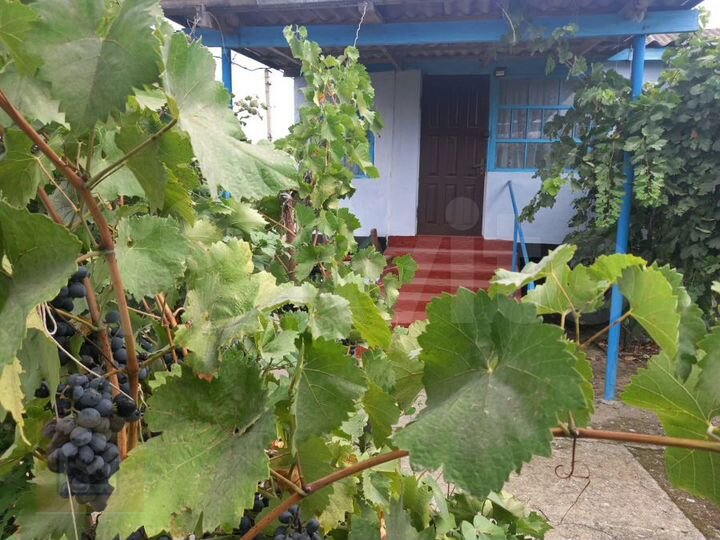 Дом 56,2 м² на участке 6 сот.