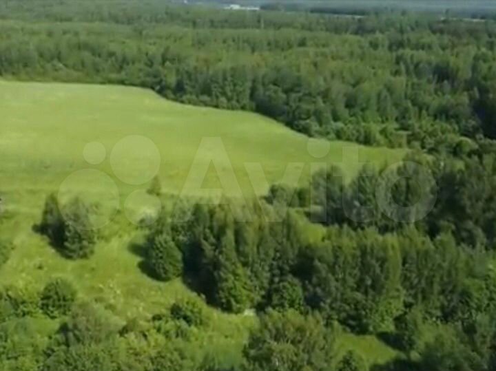 Участок 6,9 сот. (СНТ, ДНП)