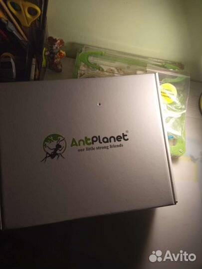 Муравьиная ферма