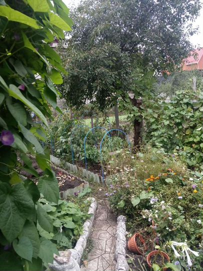 Участок 3,9 сот. (ИЖС)