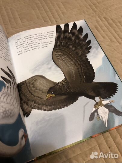 Путешествие Нильса с дикими гусями