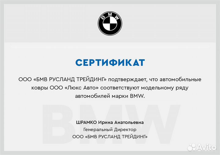 3D Коврики BMW X6 E71 Экокожа Салон Багажник