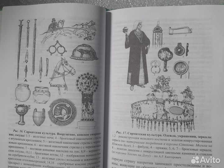 Книга Багаева