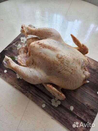 Мясо домашнего бройлера