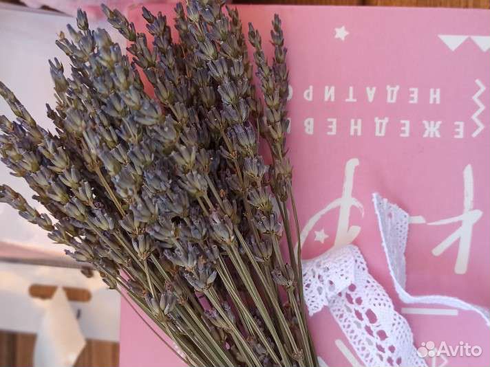 Лаванда