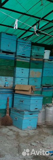 Улей для пчел бу