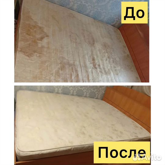 Аренда моющего пылесоса Karcher