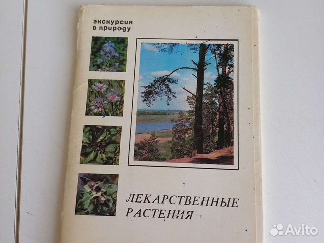 Открытки ссср, лекарственные растения