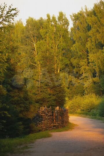 Участок 100 сот. (СНТ, ДНП)