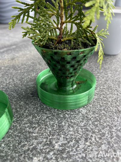 Черенкование, кашпо для разведения