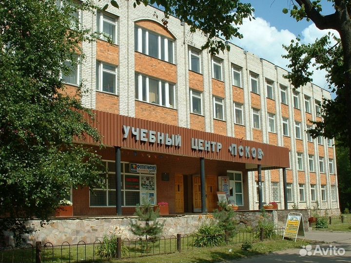 Груминг (стрижка собак) базовый курс