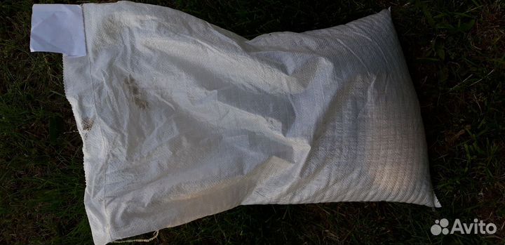 Семена подсолнечника