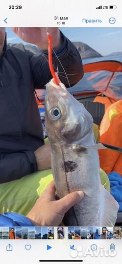 Рыбалка на Баренцевом море