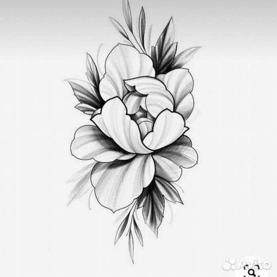 Ищу модель на тату в Москве