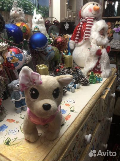 Чи чи лав новая