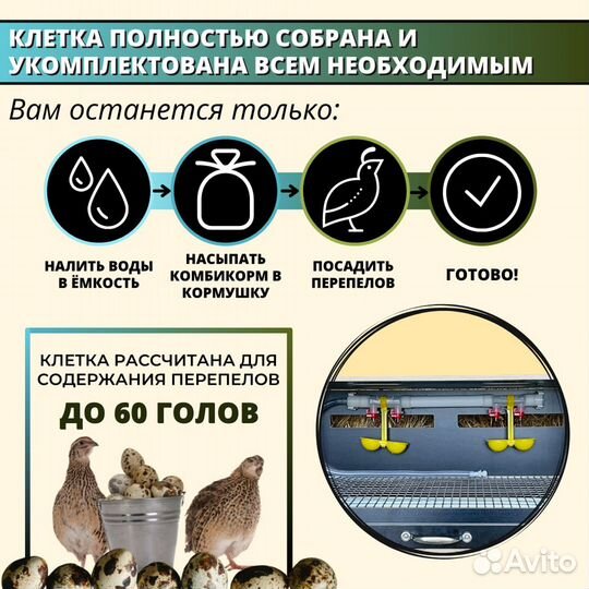 Клетка для перепелов на 60 голов