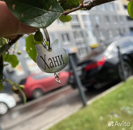 Адресник для собак и кошек