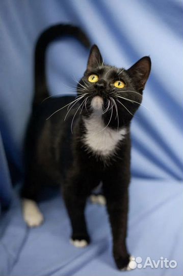 Ищет дом весёлая, молоденькая Маруся