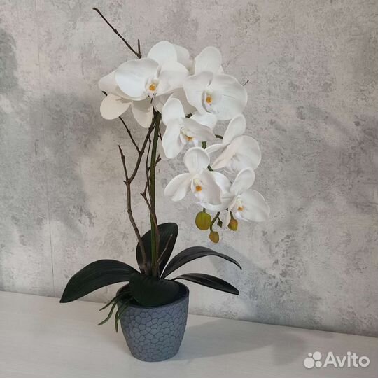 Цветочная композиция из орхидеи