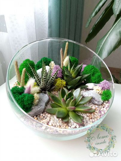 Флорариум с суккулентами