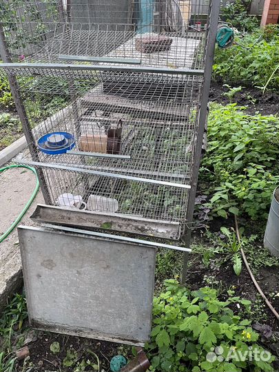 Клетка для перепелов бу