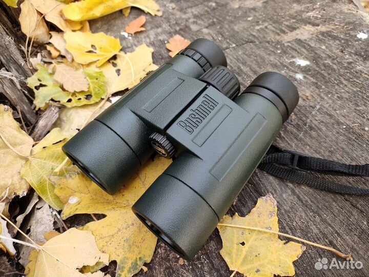 Бинокль Bushnell Trofy 8x42