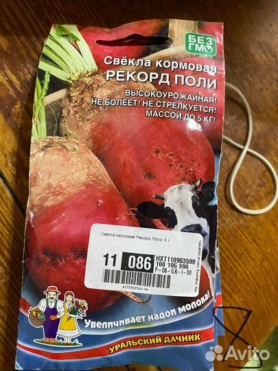 Семена кормовой свеклы