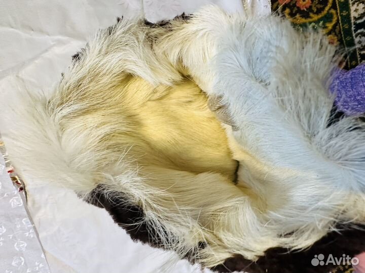 Унты летные вмф (натуральный мех)