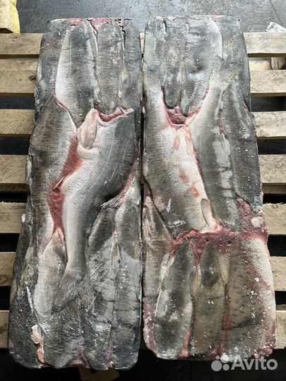 Продам свежемороженную горбушу, кету, нерку