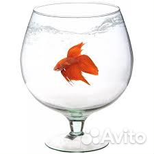 Фужер-аквариум 5-6л новый