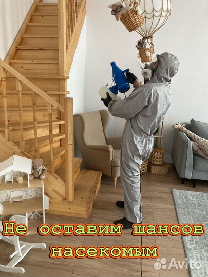 Травля клопов тараканов мышей блох