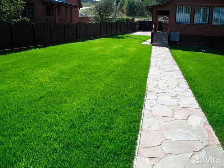 Продажа рулонного газона под ключ