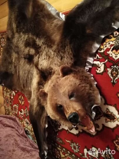 Шкура медведя(имитация)