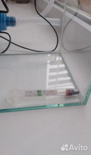 Аквариум 10 литров